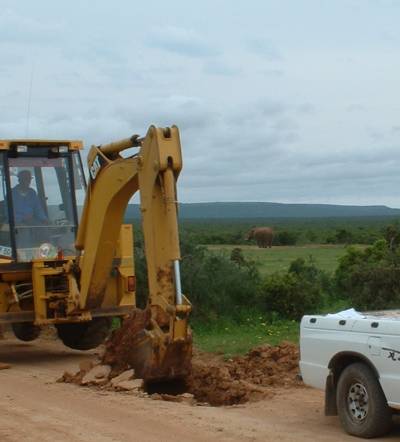 Investigation of existing road in Addo Elephant park